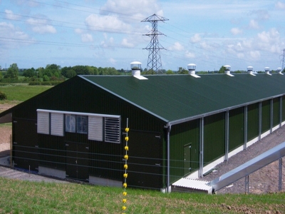 steel structure chicken house