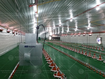 Chicken house design