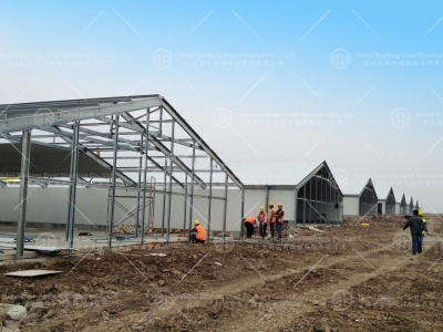 Chicken house design