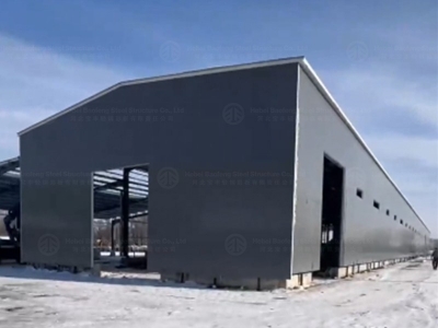 steel structure building
