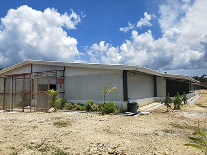 Филиппинская стальная структура Куриный дом Ферма